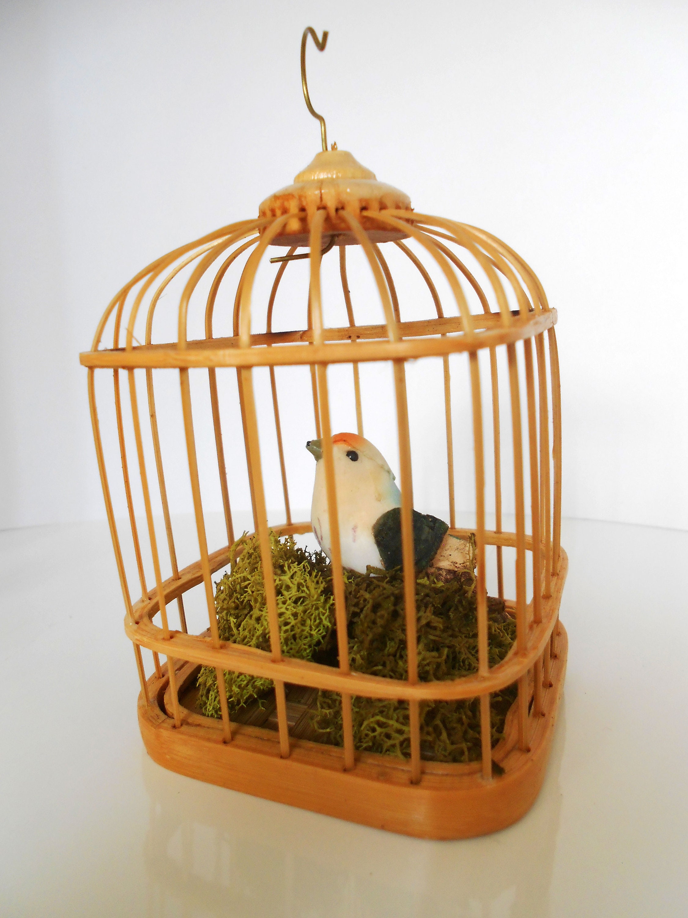 Cane bird clearance cage