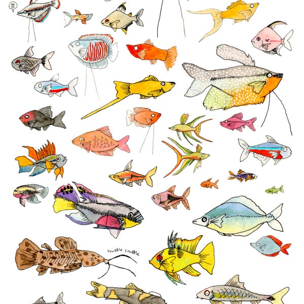 Good community fish poster (A3-sized)