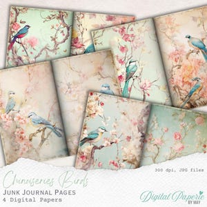 Páginas de diário de lixo de pássaros de Chinoiserie, papel digital de pássaros vintage, folhas de colagem floral, itens efêmeros para impressão, download instantâneo