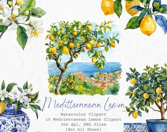 Op de afbeelding: Waterverf clipart set van 15 mediterrane citroenbomen, bloemen en citroenen. De clipart is 300 dpi en in PNG-formaat. De tekst "Meditteranean Lemon" is geschreven in een decoratief lettertype. De tekst "Watercolor Clipart" is geschreven in een kleiner lettertype. De tekst "15 Mediterranean Lemon Clipart" is geschreven in een kleiner lettertype. De tekst "300 dpi, PNG files" is geschreven in een kleiner lettertype. De tekst "(Not All Shown)" is geschreven in een kleiner lettertype. De tekst "digital paperie by may" is geschreven in een kleiner lettertype.