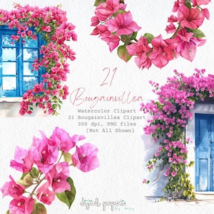 Clipart elegante de aquarela de buganvílias - PNG floral rosa para artesanato e design - download instantâneo