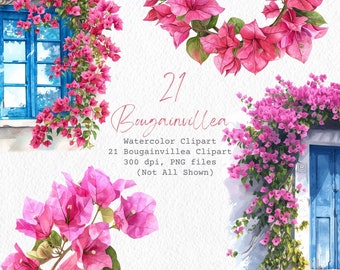 May include: A digital illustration of 21 watercolor clipart images of pink bougainvillea flowers. The flowers are shown in various arrangements, including a wreath, a vine growing up a white wall, and a cluster of flowers in the foreground. The text "21 Bougainvillea Watercolor Clipart 21 Bougainvillea Clipart 300 dpi, PNG files (Not All Shown)" is also included in the image.