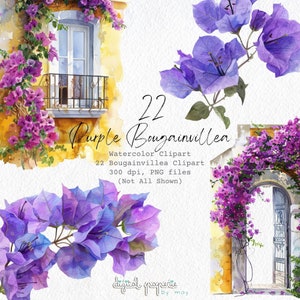 22 lila Bougainvillea Clipart Set - Aquarell Blumen PNG Dateien für Hochzeitseinladungen, Scrapbooking, digitaler Download
