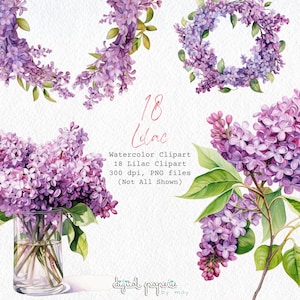 Lujoso conjunto de imágenes prediseñadas de acuarela lila, 18 ilustraciones lilas PNG de alta resolución, perfecto para bodas y manualidades de primavera, descarga digital