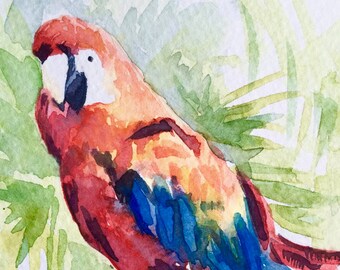 Pintura de papagaio, pintura de pássaros em aquarela, arte de papagaio, presente para amantes de pássaros, pintura original, arte de parede de papagaio, pintura 5x5, decoração de parede de pássaros