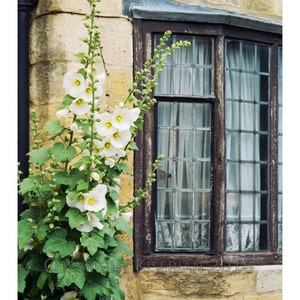 English Countryside: Handmade Photography Card (set of 5)