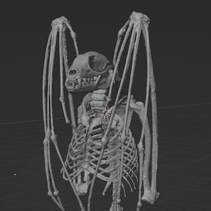 Peut inclure: Modèle 3D détaillé d'un squelette de chauve-souris, rendu en nuances de gris. La structure squelettique comprend un crâne, une cage thoracique et des os d'ailes, avec les ailes déployées. Le modèle est posé sur un fond sombre à motifs de grille.