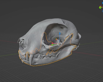 Cat Skull Commercial Printable STL File 3D printable