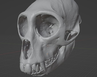 Spotted Monkey Skull  Commercial Printable STL
