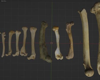 Small Bones Pack Commercial Printable STL
