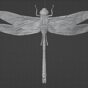 Green Emperor Dragonfly STL 3D printable
