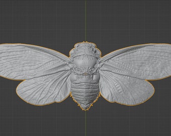 Quesada Gigas Cicada Commercial License STL 3D printable