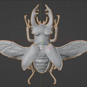 May include: A gray 3D printed model of a stag beetle with large wings spread out. The beetle is posed with its head facing up and its wings spread out to the sides.