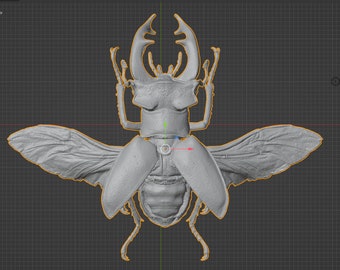 Stag Beetle Commercial License STL 3D printable