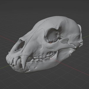 Black Bear Skull Commercial Printable STL File 3D printable