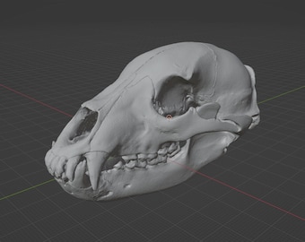 Black Bear Skull Commercial Printable STL File 3D printable