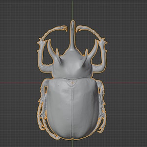 5 Horned Beetle STL 3D printable