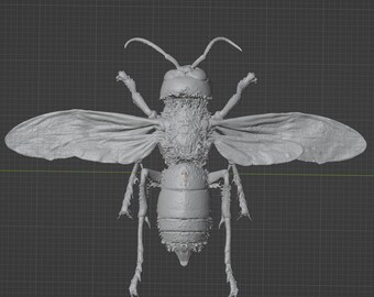Murder Hornet (Vespa mandarinia) Commercial License STL 3D printable