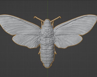 Death's-head Hawk Moth Commercial License STL 3D printable