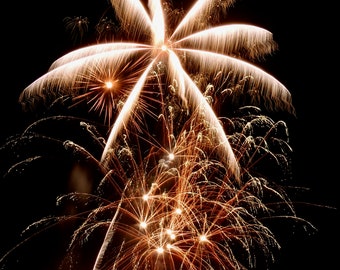 New York Fireworks Photograph - 4th of July Wall Art