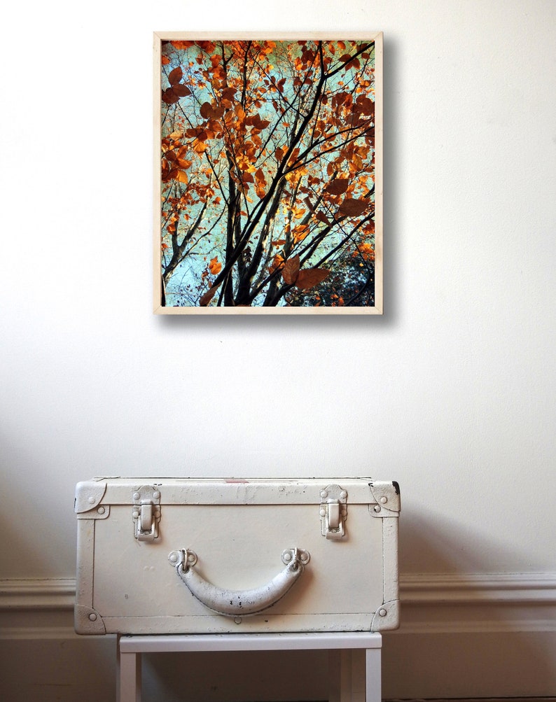 Copper Autumn Photography Autumn Foliage Beauty of Nature New York Autumn Tree Wall Decor Rusty Autumn Scene Nature Photograph image 7