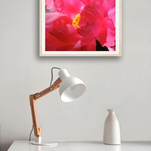 May include: A close-up of a pink peony flower with a yellow center. The flower is in focus, and the background is blurred.