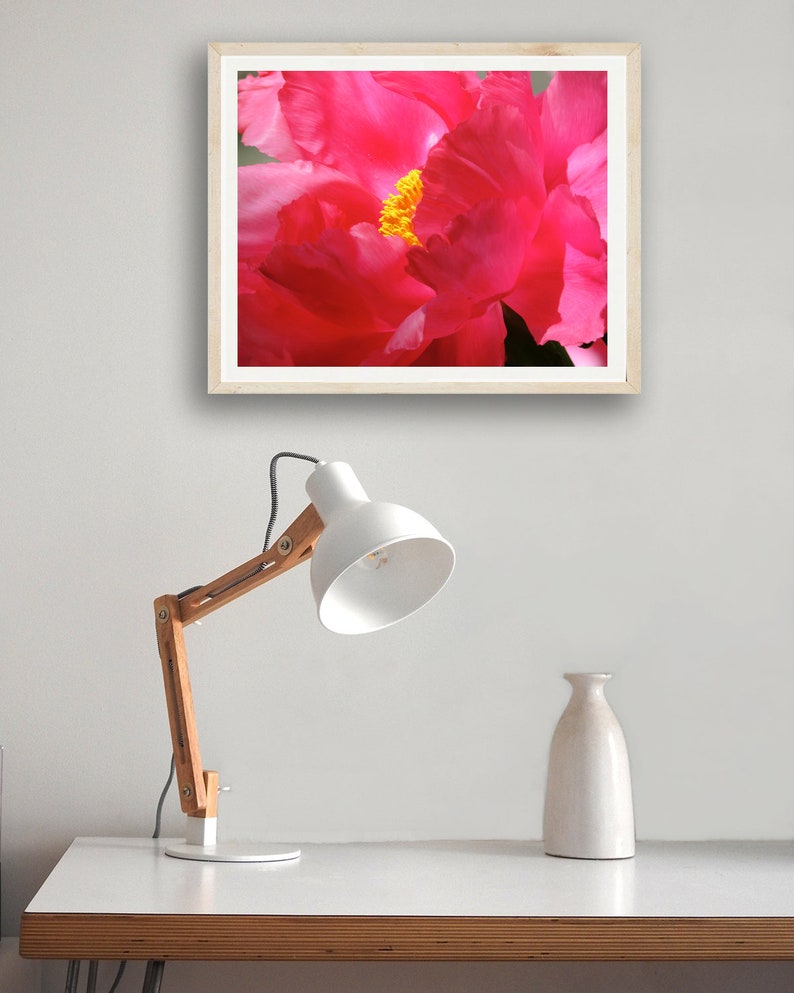 May include: A close-up of a pink peony flower with a yellow center. The flower is in focus, and the background is blurred.
