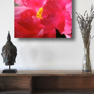 May include: A close-up of a vibrant pink peony flower with a yellow center. The flower is in focus, while the background is blurred.