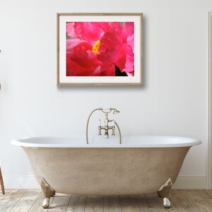 May include: A close-up of a pink peony flower with a yellow center. The flower is in focus, while the background is blurred.