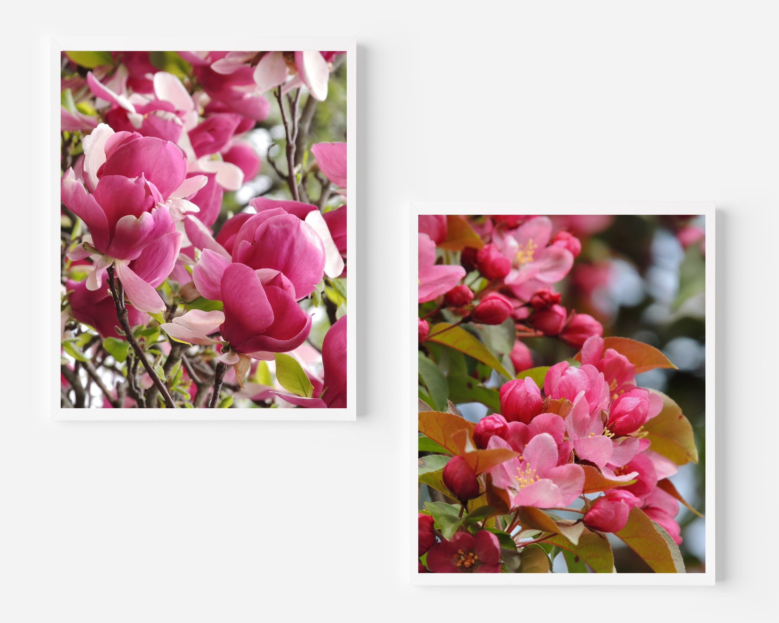 Set of 2 Flower Photographs - Pink Spring - Magnolia - Crabapple - Wall Decor - Nature Flower Art Print - Beauty of Nature - Tree Flower