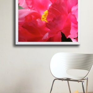 May include: A close-up of a vibrant pink peony flower with a yellow center. The petals are soft and delicate, creating a beautiful floral image.