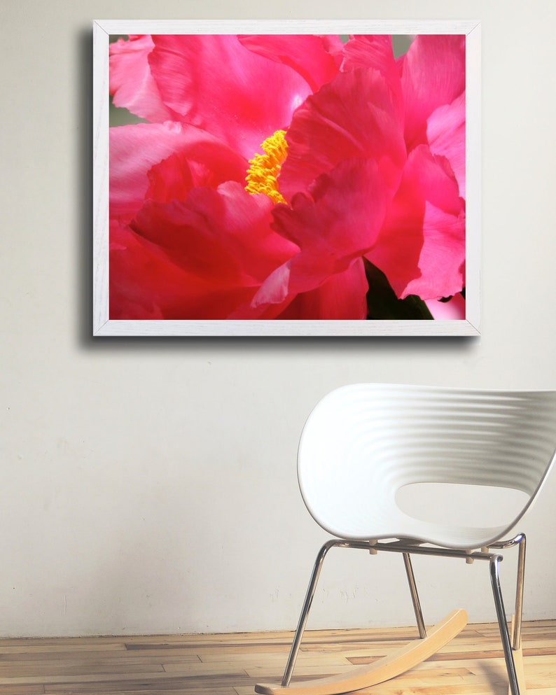 May include: A close-up of a vibrant pink peony flower with a yellow center. The petals are soft and delicate, creating a beautiful floral image.