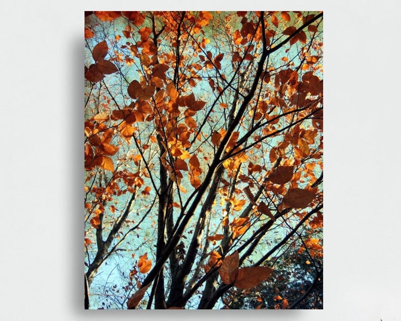 Copper Autumn Photography Autumn Foliage Beauty of Nature New York Autumn Tree Wall Decor Rusty Autumn Scene Nature Photograph image 1