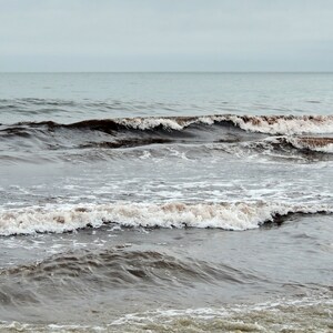 Rhode Island Beach Photograph: Red Seaweed Waves, Neutral Tones