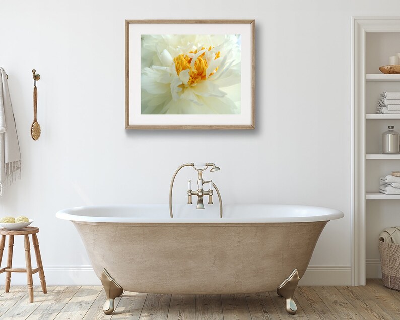 Peony Photography Flower Art Light Ivory White Elegant Flower Floral Wall Decor Peony Flower New York Peony Nature Photograph image 5