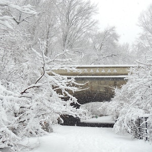 Winter Landscape - Snowy Winter - White Winter - Arch in Snow - New York Winter Scene - Snow Storm - Nature Photograph - Landscape