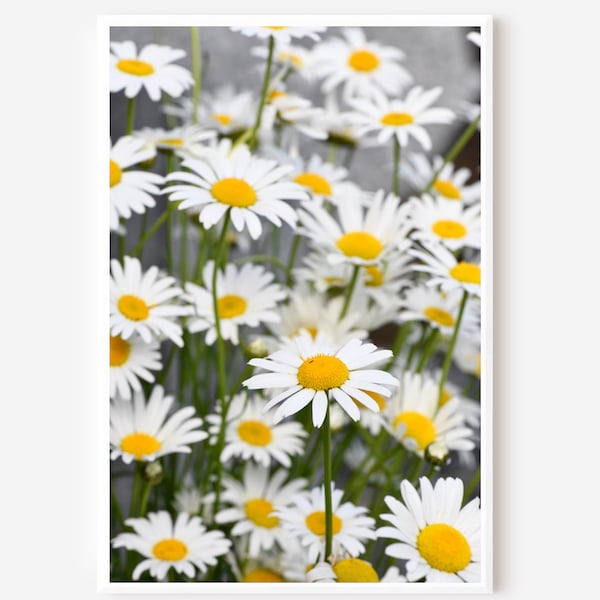 Daisy Wall Art Etsy