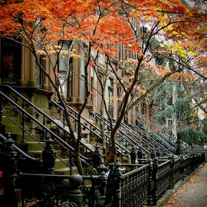 Brownstone Brooklyn Autumn Photo: New York Fall Foliage Art Print