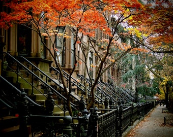 Brownstone Brooklyn Autumn Photo: New York Fall Foliage Art Print