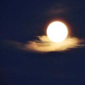 Impression de photographie de lune de récolte d'août : orbe nuageuse dorée, ciel bleu nuit