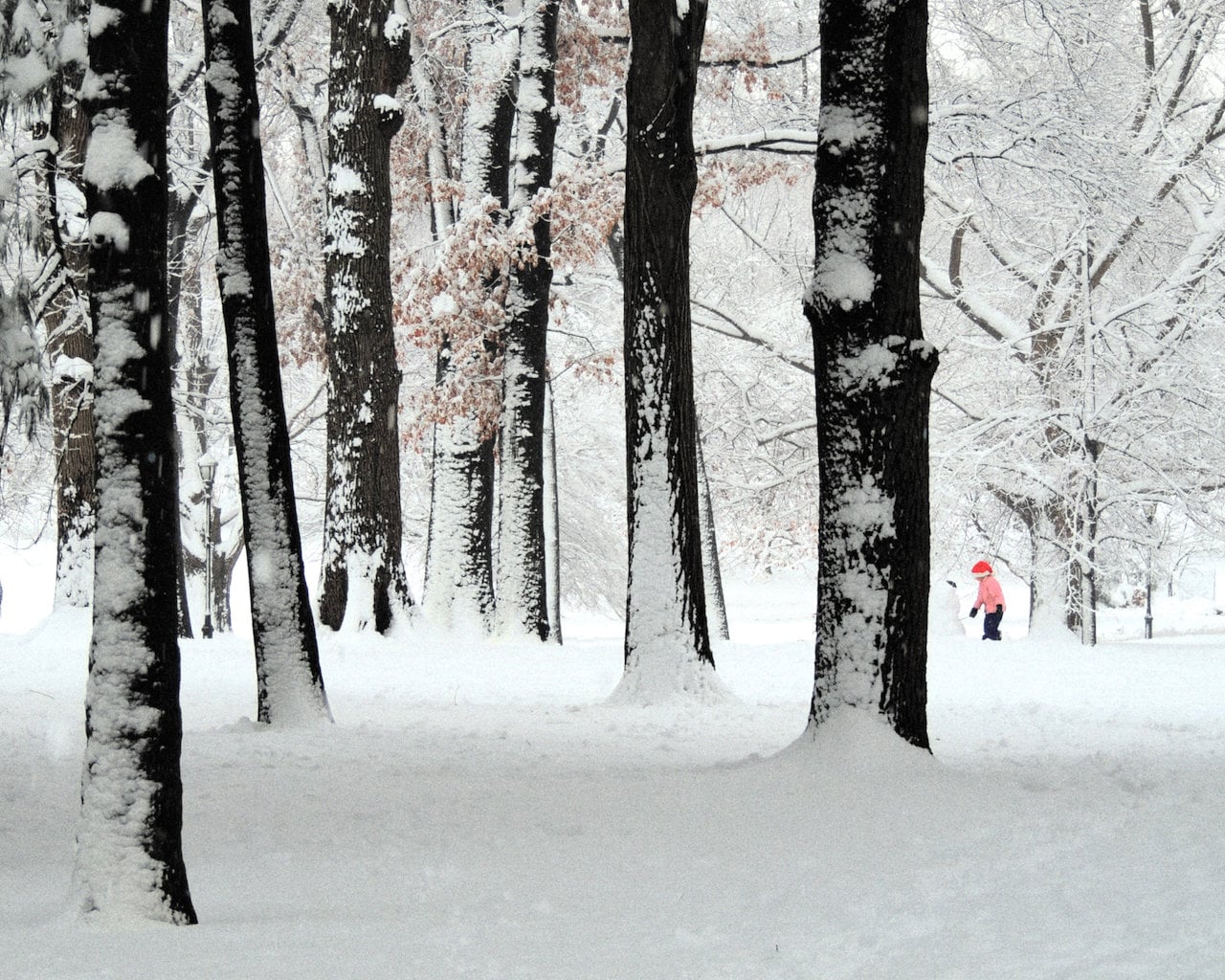 Snowy Woods Photograph: Winter Blizzard, Girl and Snowman Art