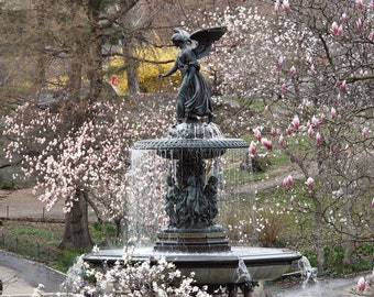 New York Central Park Photography - Bethesda Fountain - Angel of The Waters - Beautiful Spring in Central Park - Landscape - Wall Decor