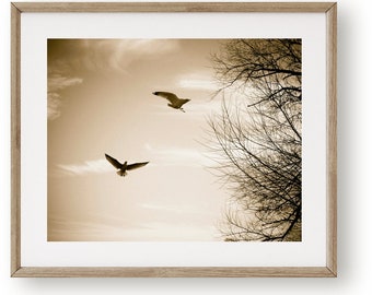 Awesome nature and flying birds high Photo print canvas choose your size! Awesome nature and flying birds high Photo print canvas choose your size!