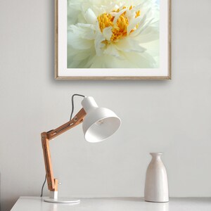 Peony Photography Flower Art Light Ivory White Elegant Flower Floral Wall Decor Peony Flower New York Peony Nature Photograph image 4