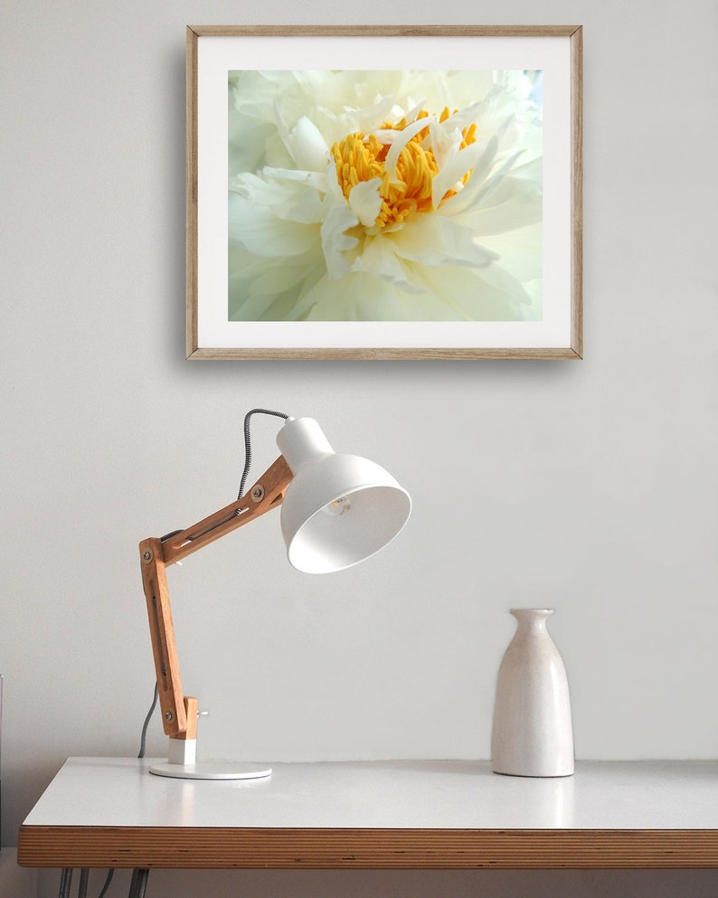 Peony Photography Flower Art Light Ivory White Elegant Flower Floral Wall Decor Peony Flower New York Peony Nature Photograph image 4