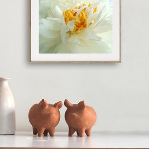 Peony Photography Flower Art Light Ivory White Elegant Flower Floral Wall Decor Peony Flower New York Peony Nature Photograph image 7