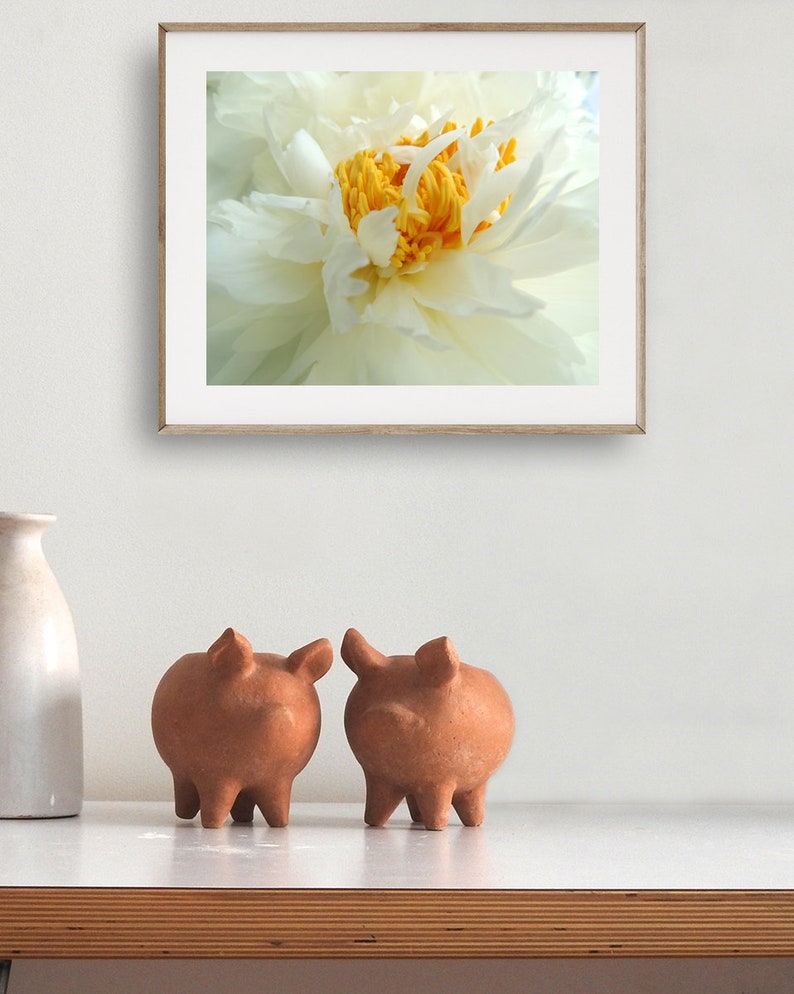 Peony Photography Flower Art Light Ivory White Elegant Flower Floral Wall Decor Peony Flower New York Peony Nature Photograph image 7