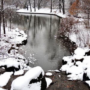 Winter Lake Photograph - Winter Scene - Landscape - Winter Wall Decor - Bushes Trees Snow Reflections - Beauty of Nature - Nature Photograph