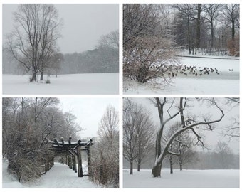 Landscape Photographs Set - Winter Art - Snowy Winter  - Nature Art - Neutral Tone - New York  Landscape - Wall Decor - Landscape Photograph