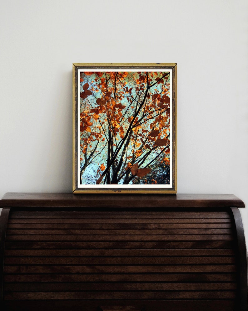 Copper Autumn Photography Autumn Foliage Beauty of Nature New York Autumn Tree Wall Decor Rusty Autumn Scene Nature Photograph image 5